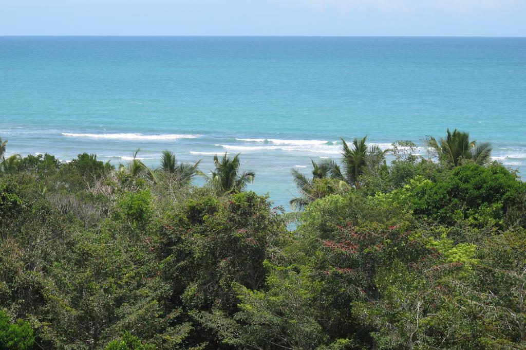 Hotel Casa Grande Sao Vicente Porto Seguro Zewnętrze zdjęcie